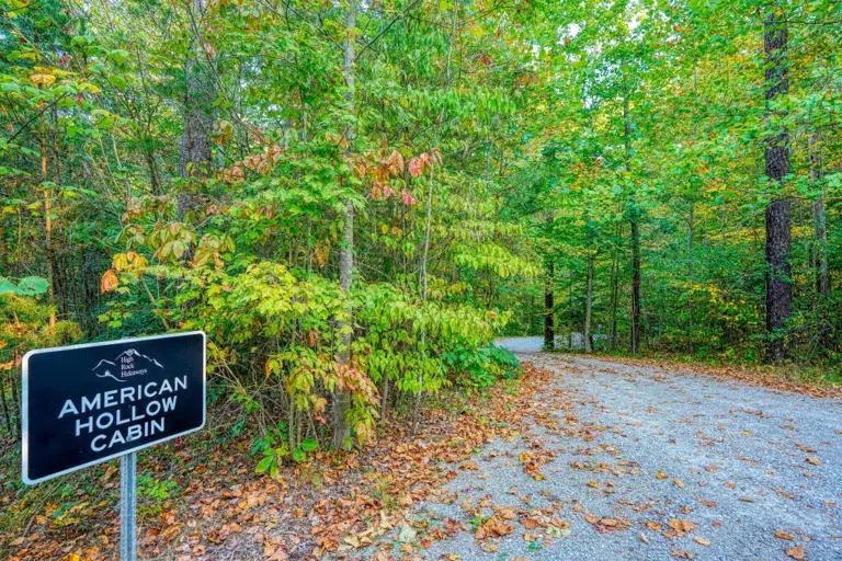 American Hollow American Hollow