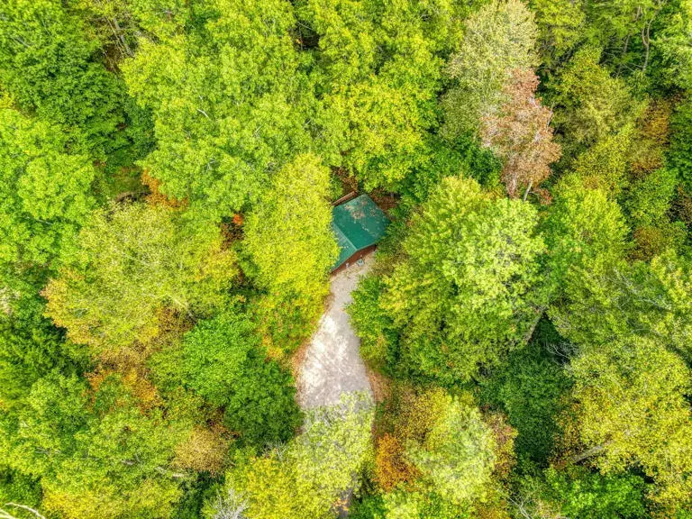 American Hollow American Hollow