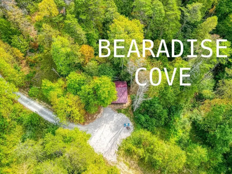 Bearadise Cove