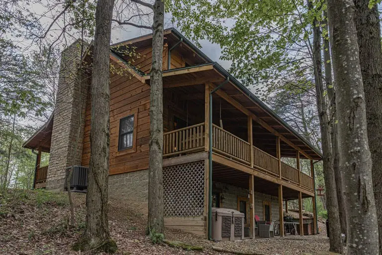Black Bear Hideaway