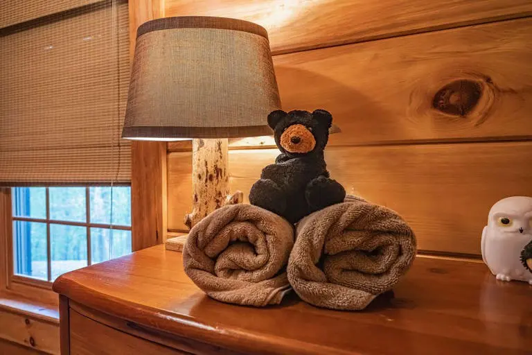 Black Bear Hideaway