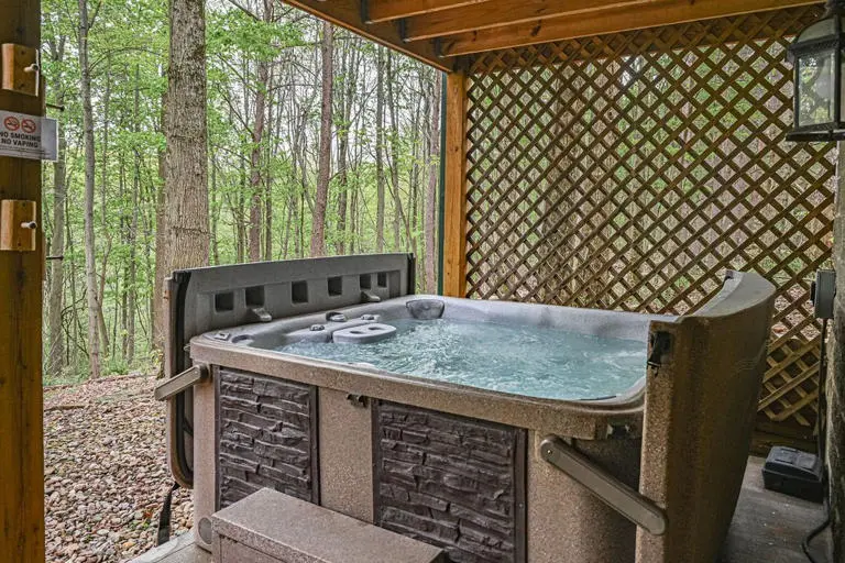 Black Bear Hideaway