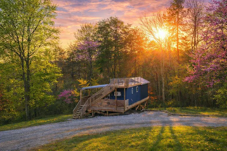 Blue Bird Tiny House