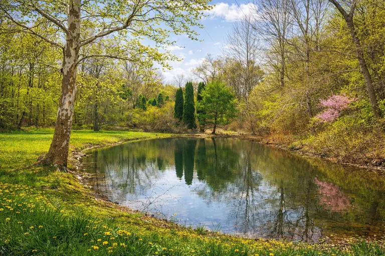 Buckeye Trail Buckeye Trail