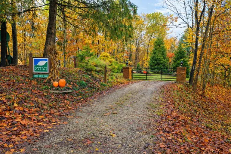 Carps Cabin Carps Cabin