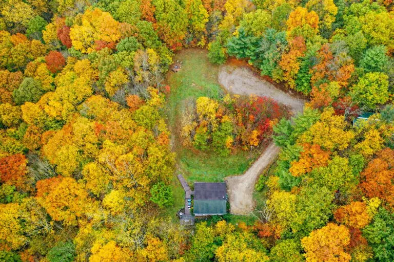 Carps Cabin Carps Cabin