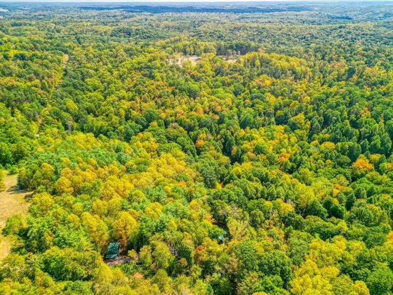 Margaritaville Cabin