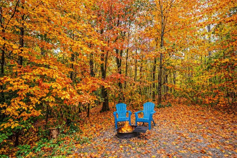 Natures Paradise Cabin