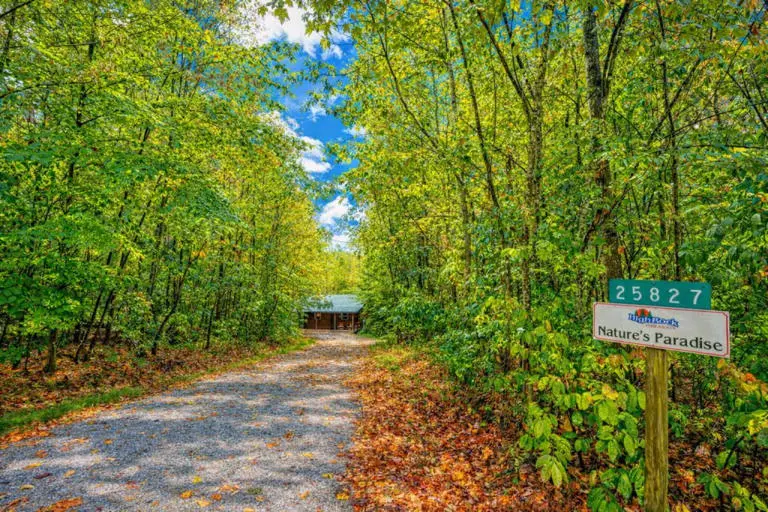 Natures Paradise Cabin