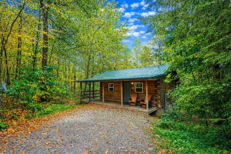 Natures Paradise Cabin
