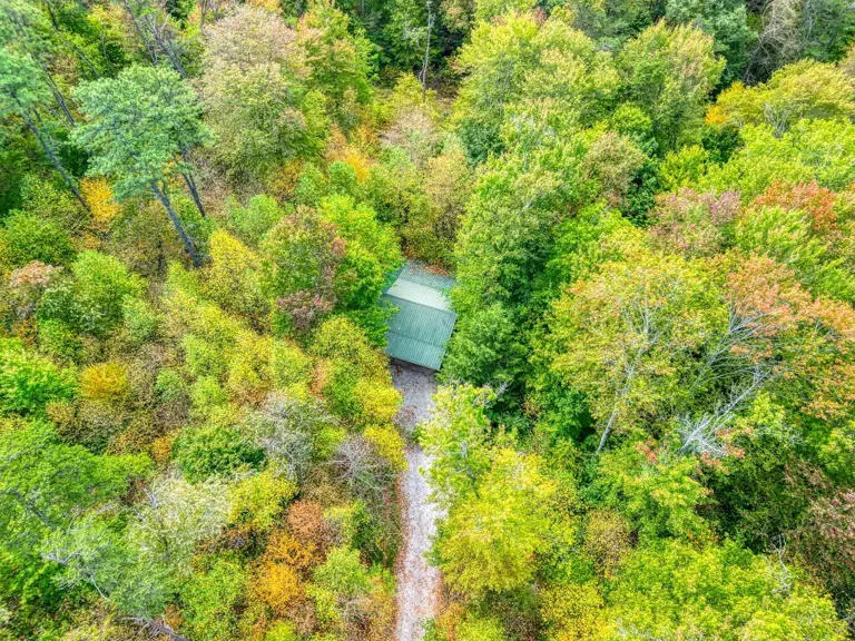 Natures Paradise Cabin