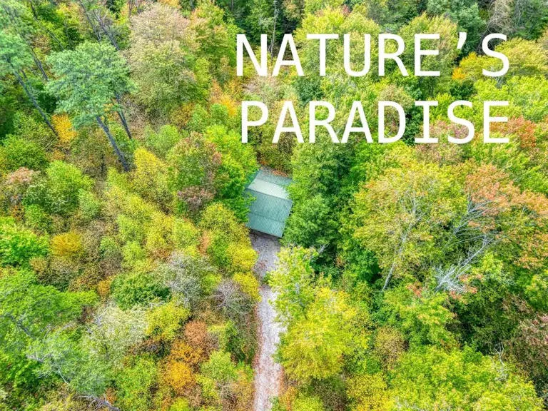 Natures Paradise Cabin