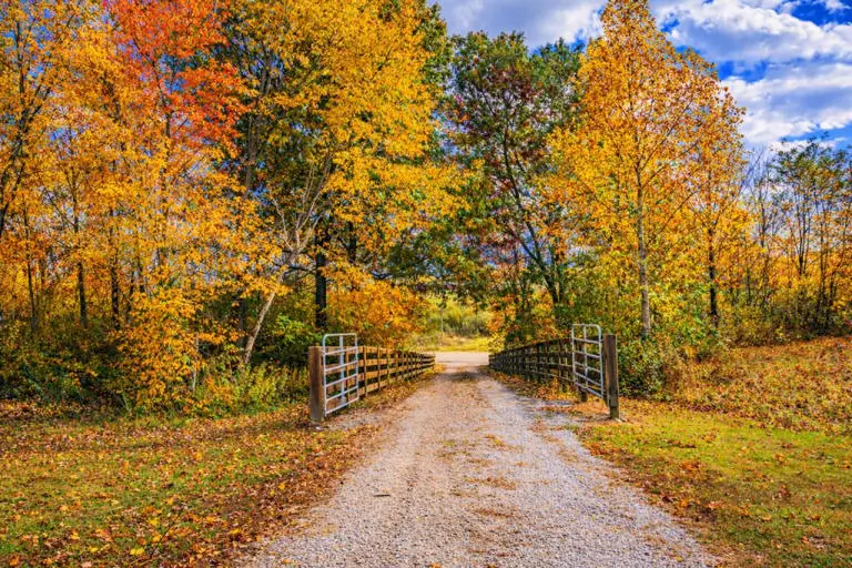 Pumpkin Ridge Resort Pumpkin Ridge Resort