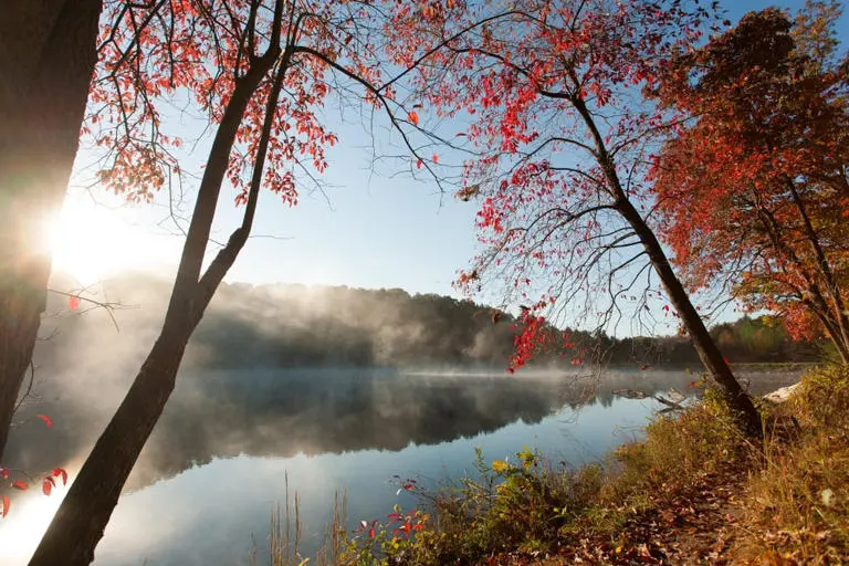 Rose Lake Min Rose Lake Min