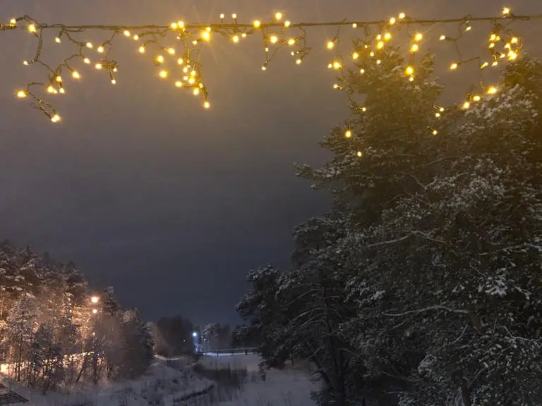 Shutterstock1275374605 Shutterstock1275374605