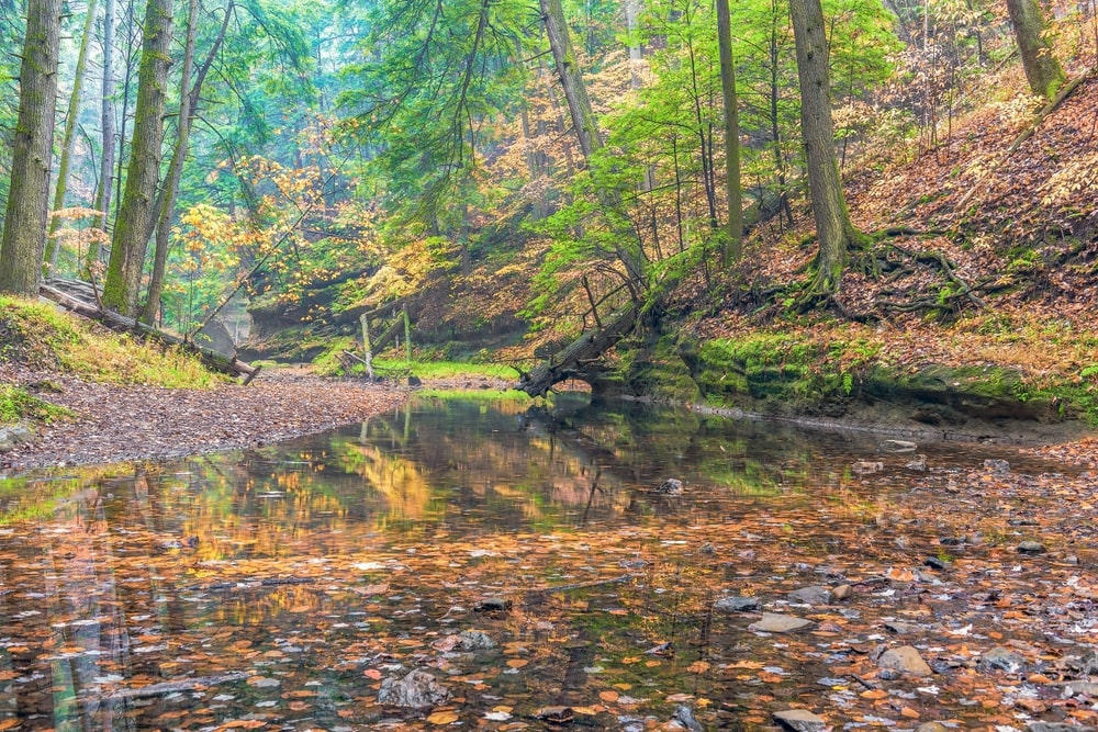 Fall in Hocking Hills: What to Expect
