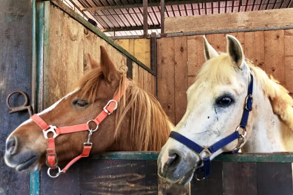 Shutterstock2654142357 Shutterstock2654142357