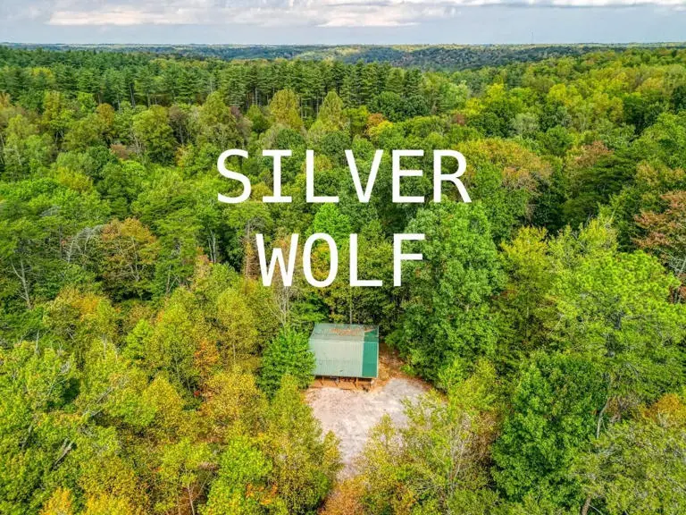 Silver Wolf Cabin