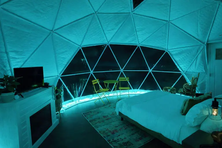 The Penguin Igloo The Penguin Igloo