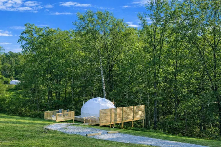 The Penguin Igloo The Penguin Igloo