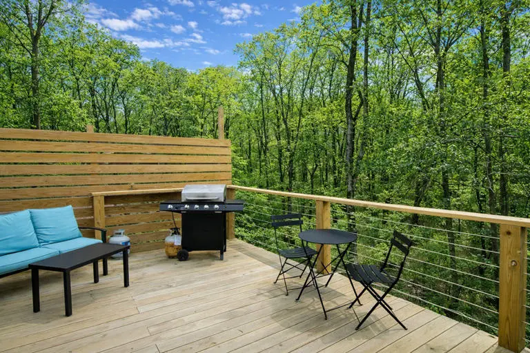 The Penguin Igloo The Penguin Igloo